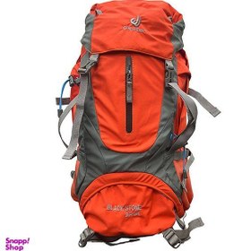 تصویر کوله پشتی کوهنوردی 45 لیتری دیوتر 