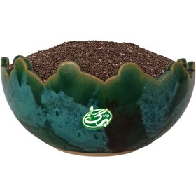 تصویر دانه چیا 