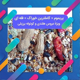 تصویر کاملترین خوراک عروس هلندی و کوتوله برزیلی به صورت فله ای 940 گرمی خوراک عروس هلندی و خوراک کوتوله 