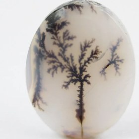 تصویر سنگ شجر کد 2308 