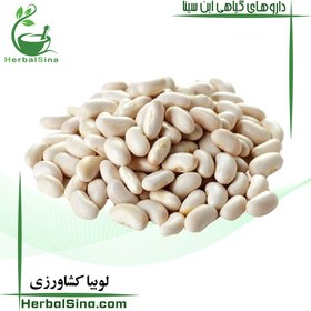 تصویر لوبیا کشاورزی 