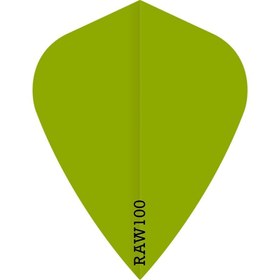 تصویر فلایت دیزاینا مدل RAW100 طرح کایت_ رنگ سبز 