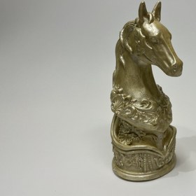 تصویر قالب اسب 