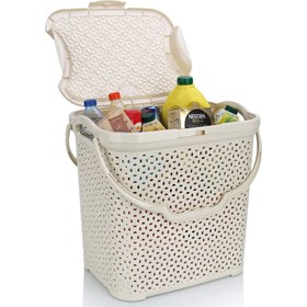 تصویر سبد پیکنیک کوچک پارسا 