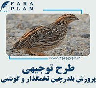 تصویر طرح توجیهی پرورش بلدرچین تخمگذار و گوشتی 