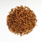 تصویر کرم میلورم مخصوص طوطی سانان وزن 1000 گرم 