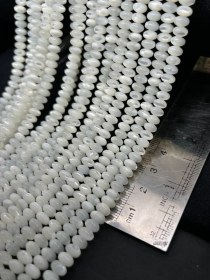 تصویر ریسه صدف طبیعی کد 8838 