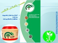 تصویر چسب محافظ تنه درخت وارنبو ( یک کیلوگرم ) 