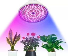 تصویر نور رشد گیاه مخصوص تراریوم پالاداریوم ویواریوم گیاهان آپارتمانی