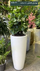 تصویر درختچه بونسای مصنوعی برگ قاشقی سایز ۶۰ سانت 