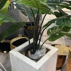 تصویر درختچه مصنوعی برگ انجیری 