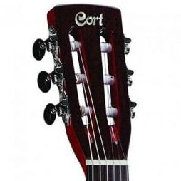 تصویر گیتار کورت مدل Guitar Cort Sunset Nylectric-BK 