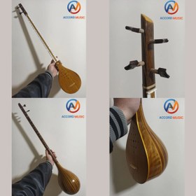 تصویر سه تار / سه تار هنرجویی کریمی sitar