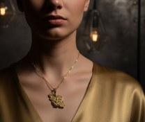 تصویر پلاک طرح ایران 