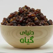 تصویر مقل ازرق اصل 