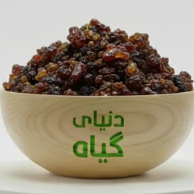 تصویر مقل ازرق اصل 