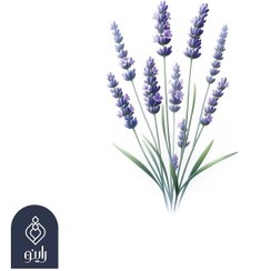 تصویر عطر طبیعی اسطوخودوس (lavender) 