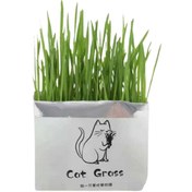 تصویر چمن گربه Cat Grass 