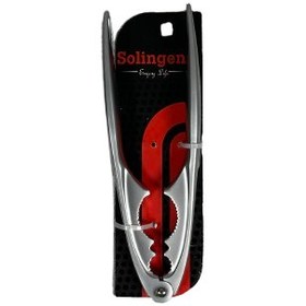 تصویر فندق وبادام شکن زولینگن 