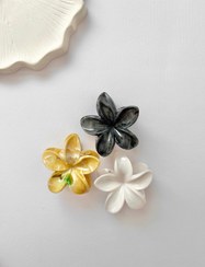 تصویر کلیپس پلومریا صابونی - کد 