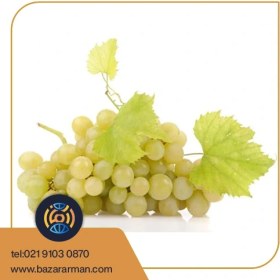 تصویر انگور سفید 