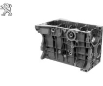 تصویر بلوک سیلندر پژو پارس 