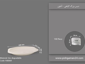 تصویر دیس گیاهی بزرگ - آملون ( بسته 100 عددی ) 