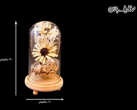 تصویر گلدان دکوری گل خشک با حفاظ شیشه ای و پایه ی چوبی با ۳۰% تخفیف 