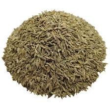 تصویر زیره سبز 