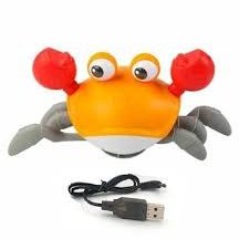 تصویر اسباب بازی سنسوری خرچنگ مدل CUTE CRAB CUTE CRAB sensor toy