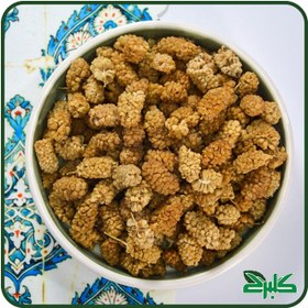 تصویر توت خشک کردستان 