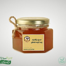 تصویر عسل طبیعی شهد دیابتی زنبورستان پلنگا (250 گرم) 