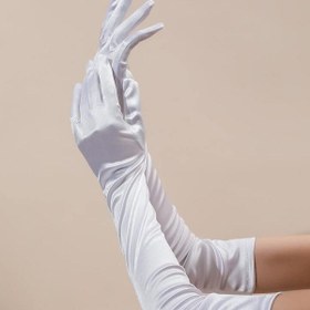 تصویر دستکش مخمل سفید 