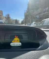 تصویر روداشبوردی جوجه 