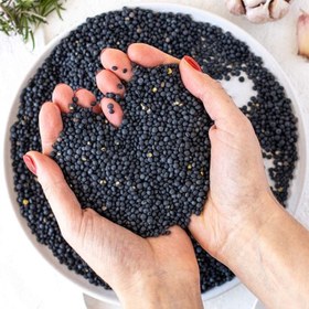 تصویر بذر عدس سیاه 20 عددی 