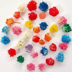 تصویر سر گل خشک ژیپسوفیلا بدون ساقه (بسته 30 عددی) - 