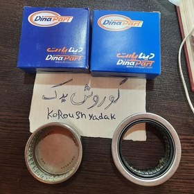 تصویر بلبرینگ ژامبون اکسل پژو 405 سمند پرشیا دنا دنلاپلاس بسته دوعددی کوچک و بزرگ برند دیناپارت 