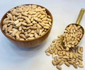 تصویر لوبیا کشاورزی 