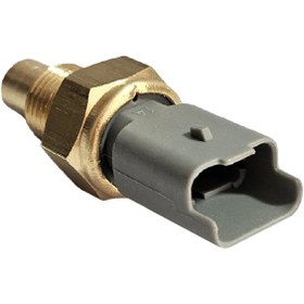 تصویر فشنگی دمای آب 3 فیش طوسی سمند برند ایمن تک 