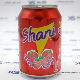 تصویر نوشابه گازدار شانی ميوه قوطی 300 ميل SHANI مدل Fruit Shani Fruit Drink 300ml