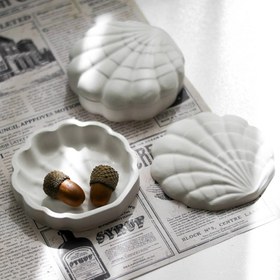 تصویر استند صدف دردار 