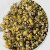 تصویر بابونه خشک شده یکی از محبوب‌ترین گیاهان دارویی و دمنوش‌های آرام‌بخش است 