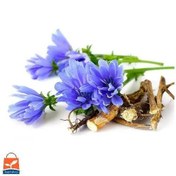 تصویر بذر کاسنی 10، 100 و 500 گرمی