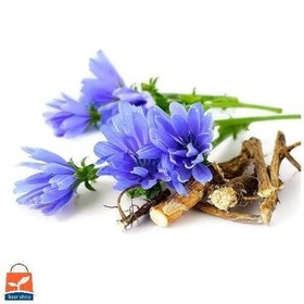 تصویر بذر کاسنی 10، 100 و 500 گرمی