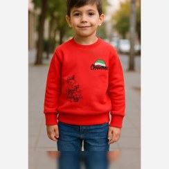 تصویر لباس پاییز و زمستانه(پسرانه) 