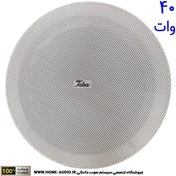 تصویر اسپیکر سقفی تابا 40 وات TABA TS 40W 