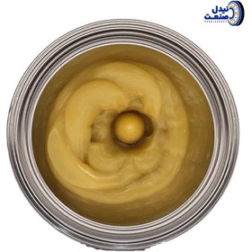 تصویر گریس نسوز LGMT 3/1 SKF بلژیک یک کیلوگرم 