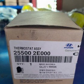 تصویر ترموستات آب 255002E000 THERMOSTAT ASSY