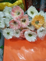 تصویر گل مارگریت 