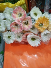 تصویر گل لیندا 